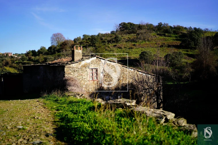 Quinta T0 para Venda em Sé, Santa Maria e Meixedo Foto 14
