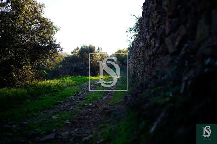 Quinta T0 para Venda em Sé, Santa Maria e Meixedo Foto 15