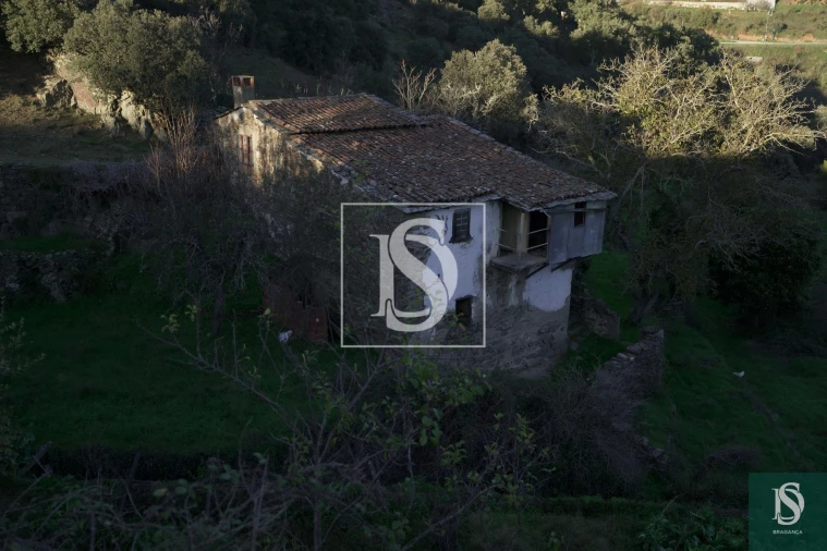 Quinta T0 para Venda em Sé, Santa Maria e Meixedo Foto 22