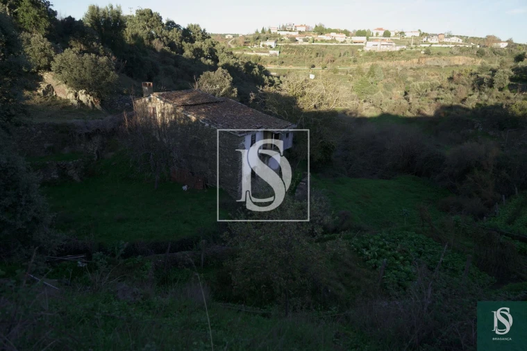 Quinta T0 para Venda em Sé, Santa Maria e Meixedo Foto 21