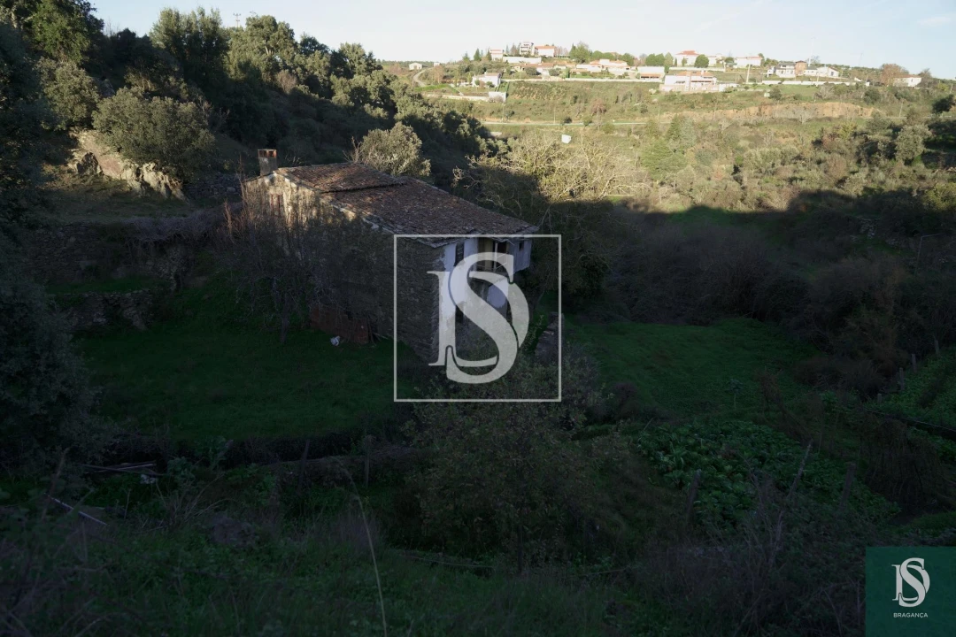 Quinta T0 para Venda em Sé, Santa Maria e Meixedo Foto 21