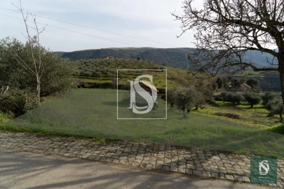 Terreno para Venda em Alfaião