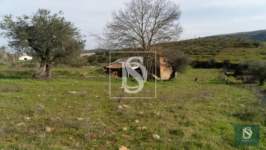 Terreno para Venda em Alfaião Foto 3