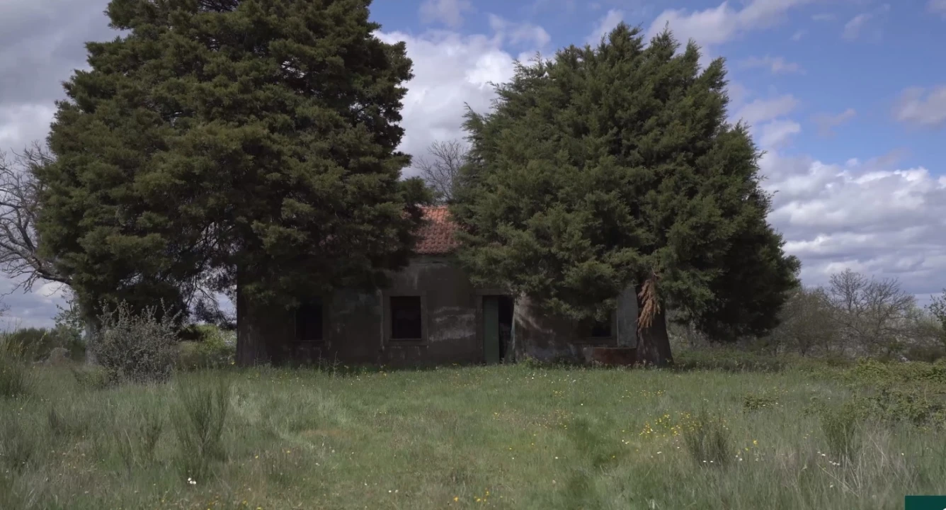 Moradia T0 para Venda em Ifanes e Paradela Foto 6