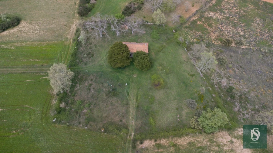 Moradia T0 para Venda em Ifanes e Paradela Foto 5