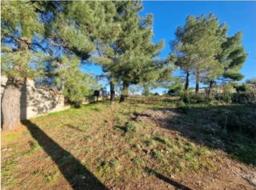 Terreno para Venda em Samil