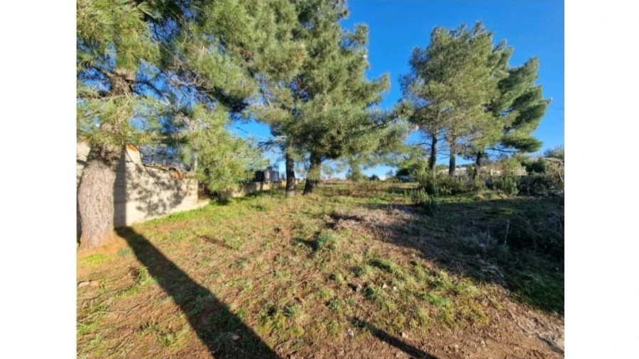 Terreno para Venda em Samil