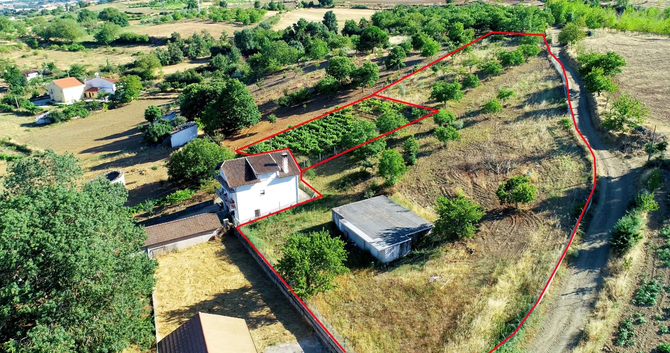 Terreno para Venda em Castro de Avelãs Foto 1