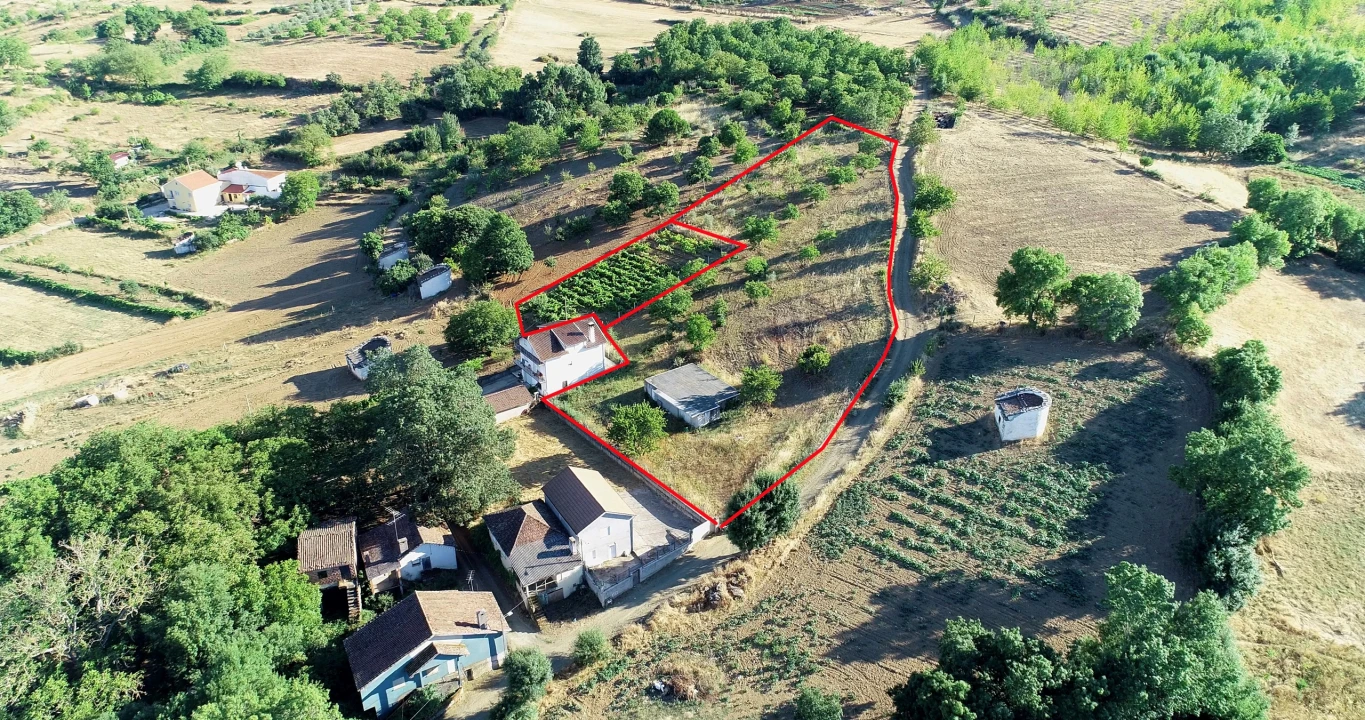 Terreno para Venda em Castro de Avelãs Foto 15