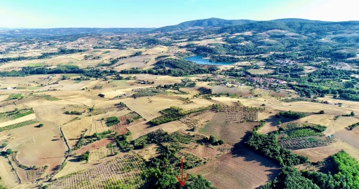 Terreno para Venda em Castro de Avelãs