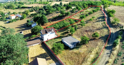 Terreno para Venda em Castro de Avelãs