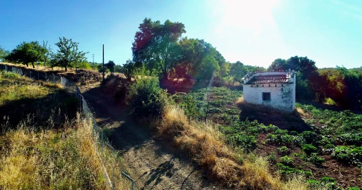 Terreno para Venda em Castro de Avelãs