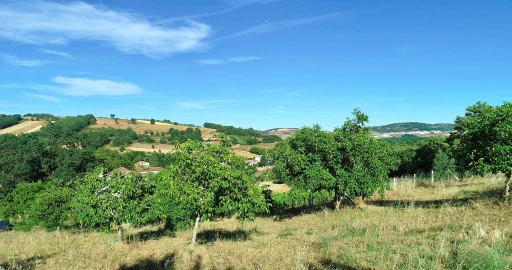 Terreno para Venda em Castro de Avelãs