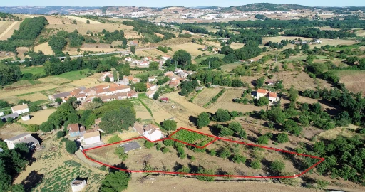 Terreno para Venda em Castro de Avelãs