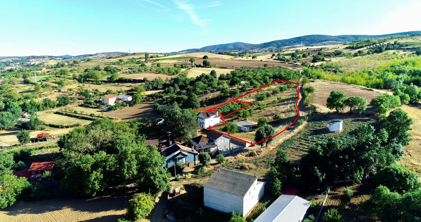 Terreno para Venda em Castro de Avelãs Foto 12