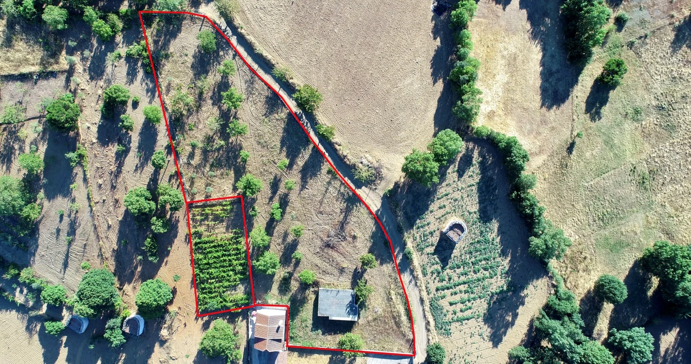 Terreno para Venda em Castro de Avelãs Foto 7