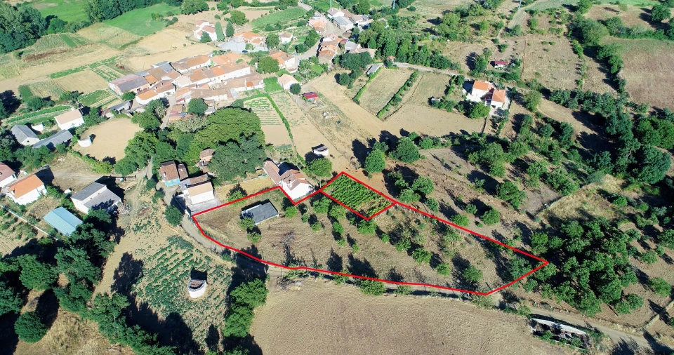 Terreno para Venda em Castro de Avelãs Foto 3