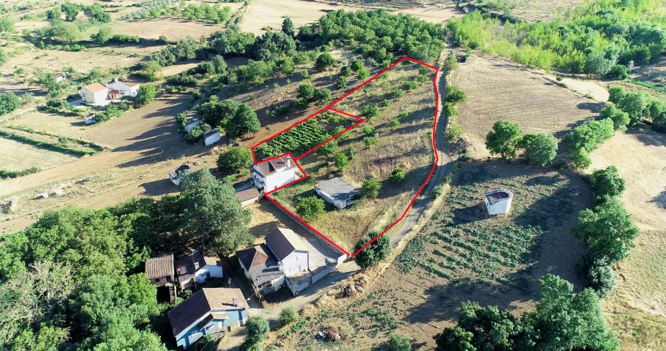 Terreno para Venda em Castro de Avelãs Foto 15
