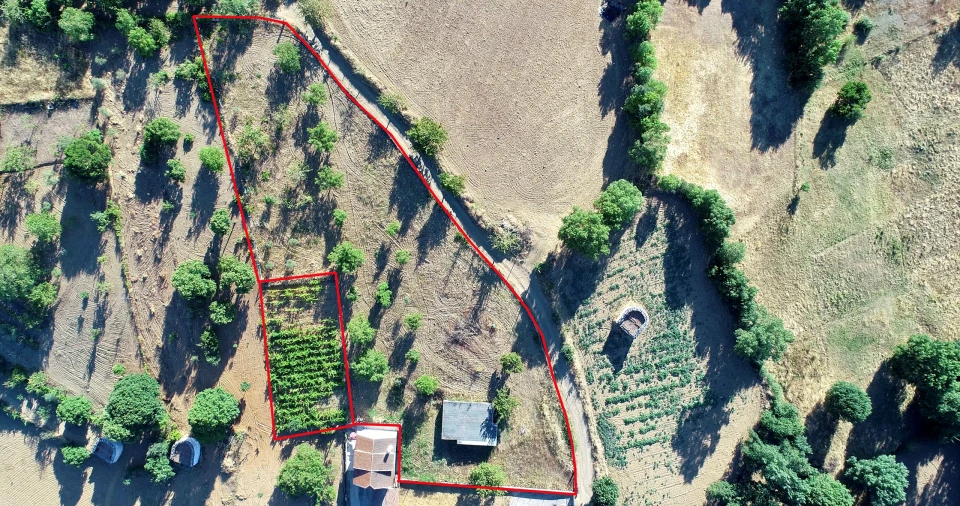 Terreno para Venda em Castro de Avelãs Foto 7