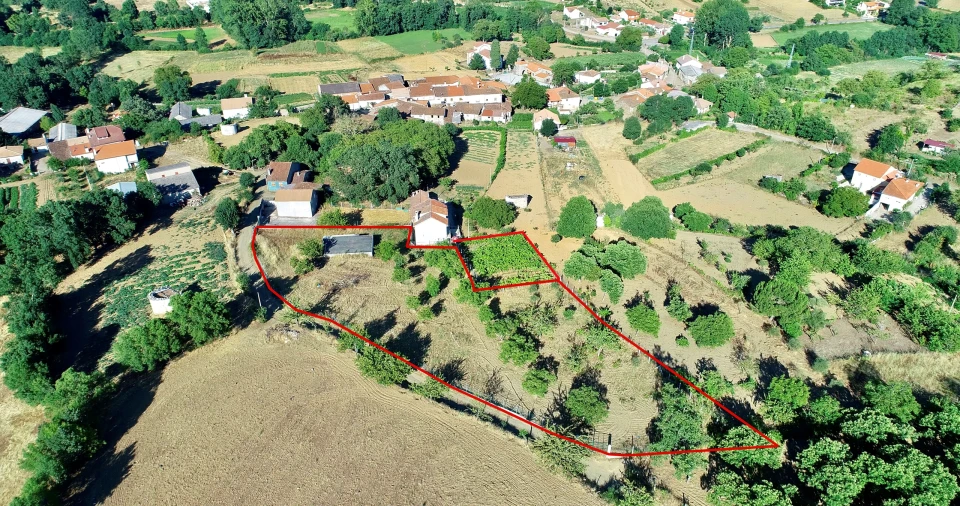Terreno para Venda em Castro de Avelãs Foto 4