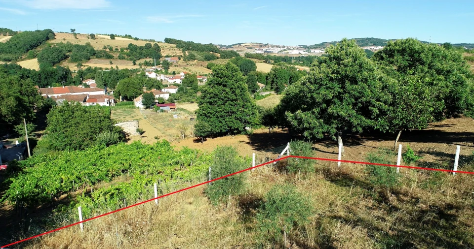 Terreno para Venda em Castro de Avelãs Foto 6