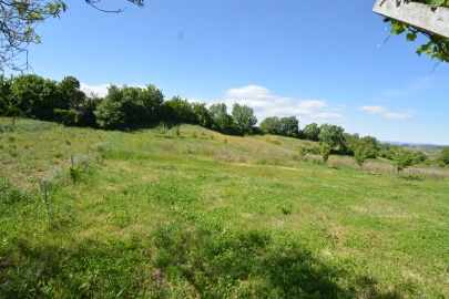 Terreno para Venda em Rebordãos