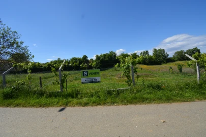 Terreno para Venda em Rebordãos