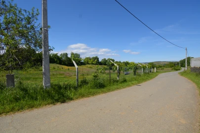 Terreno para Venda em Rebordãos