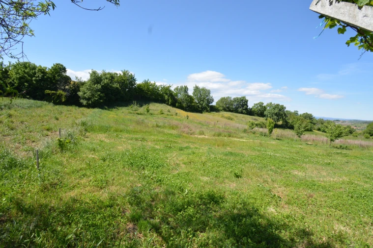 Terreno para Venda em Rebordãos Foto 4