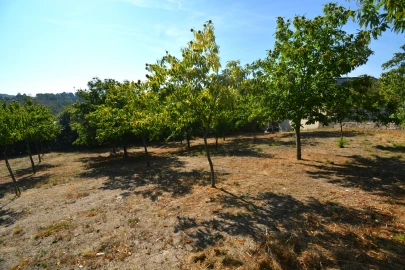 Terreno para Venda em França