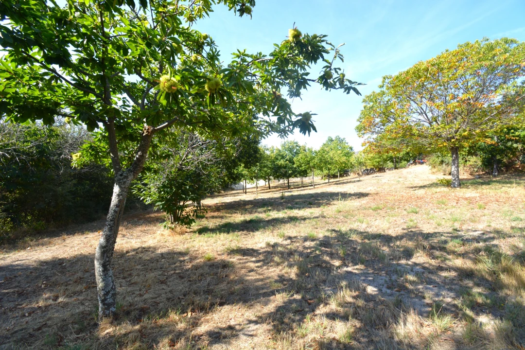 Terreno para Venda em França Foto 6