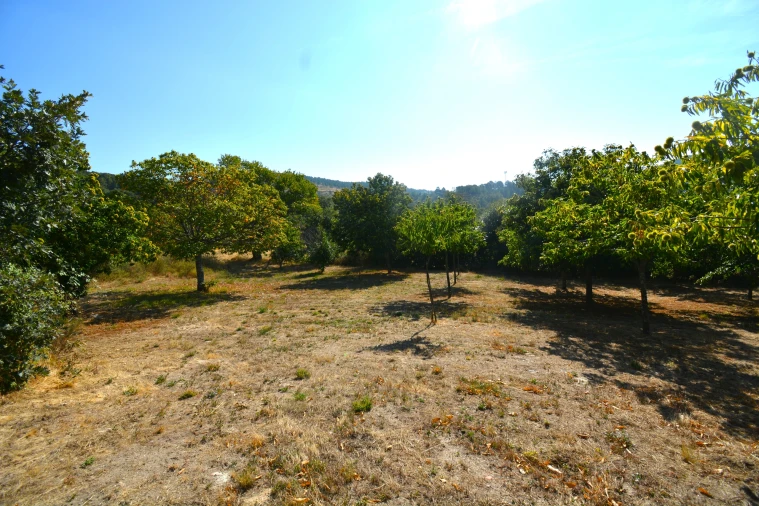 Terreno para Venda em França Foto 2