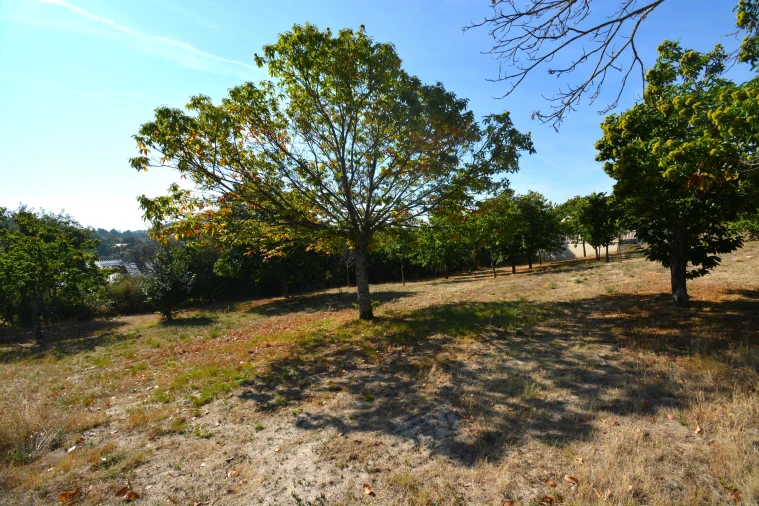 Terreno para Venda em França Foto 4