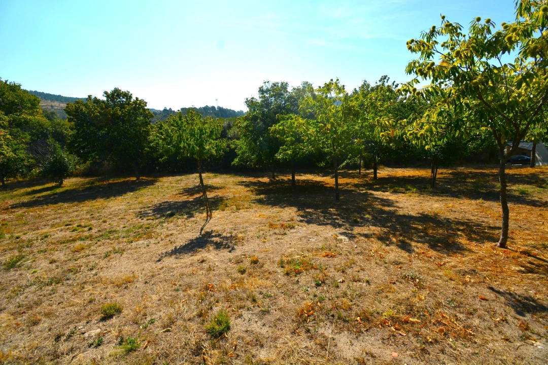 Terreno para Venda em França Foto 5