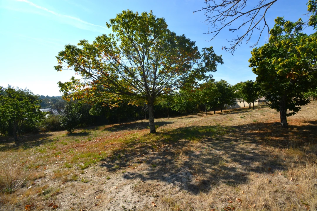 Terreno para Venda em França Foto 4