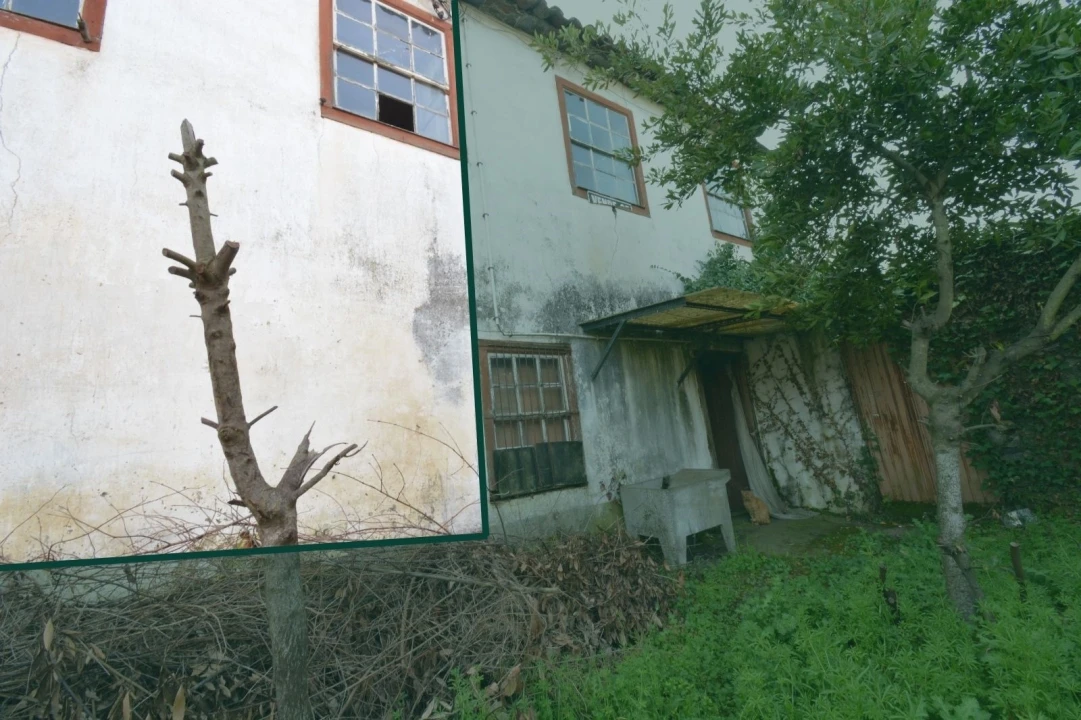 Moradia T2 para Venda em Sé, Santa Maria e Meixedo Foto 1