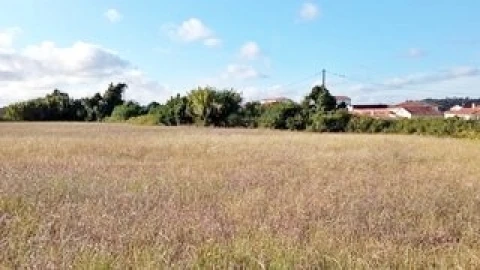 Terreno para Venda em Maiorca