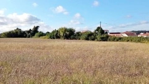 Terreno para Venda em Maiorca