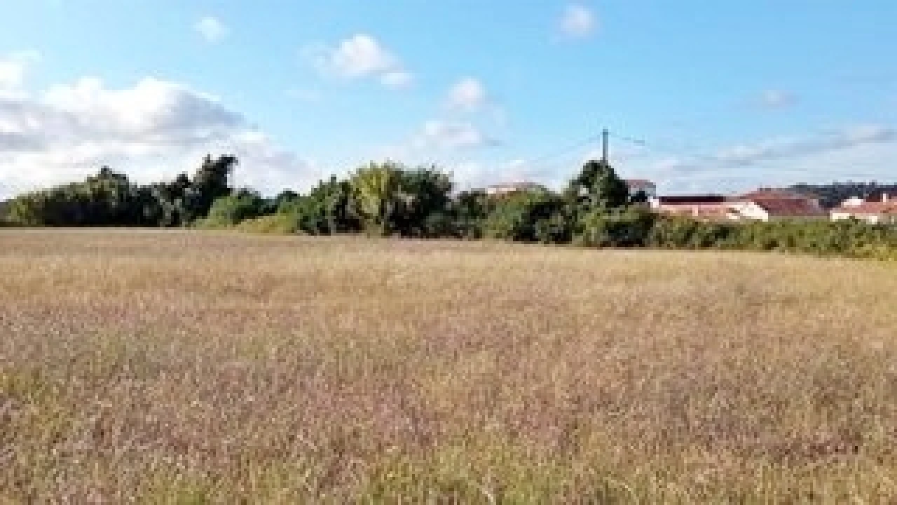 Terreno para Venda em Maiorca Foto 3