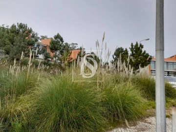 Terreno para Venda em Tavarede