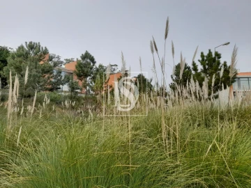 Terreno para Venda em Tavarede