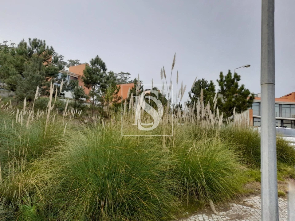 Terreno para Venda em Tavarede Foto 6