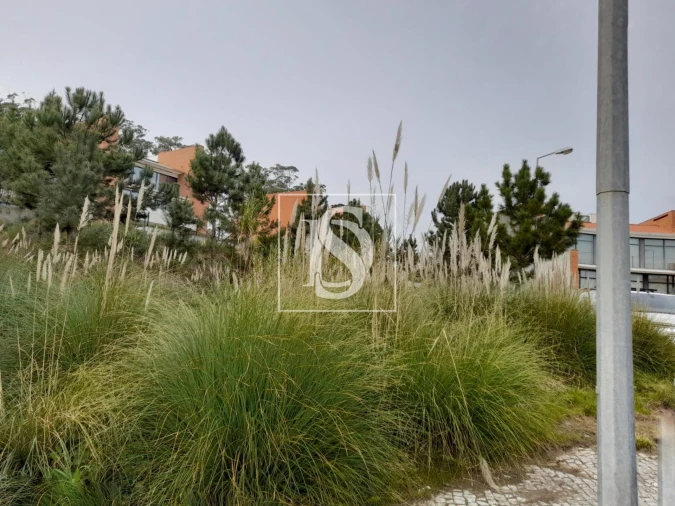 Terreno para Venda em Tavarede Foto 6