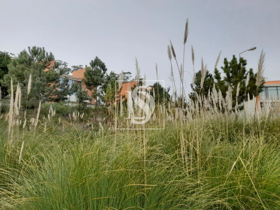 Terreno para Venda em Tavarede Foto 2