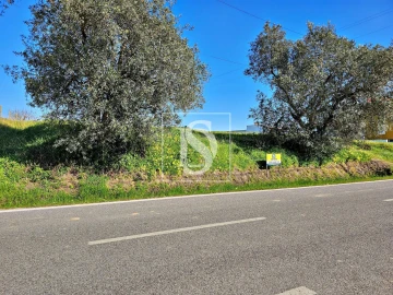 Terreno para Venda em Alqueidão