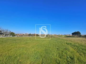 Terreno para Venda em Alqueidão
