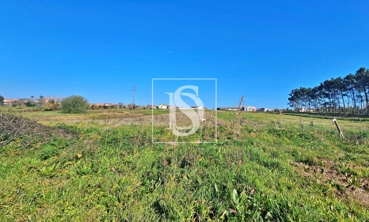 Terreno para Venda em Alqueidão Foto 18