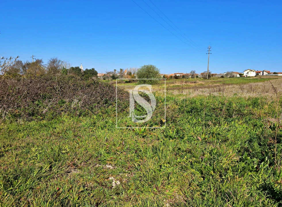 Terreno para Venda em Alqueidão Foto 14