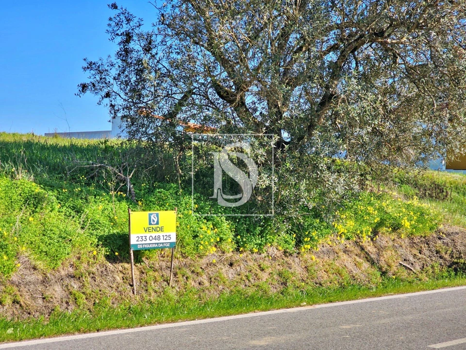 Terreno para Venda em Alqueidão Foto 10