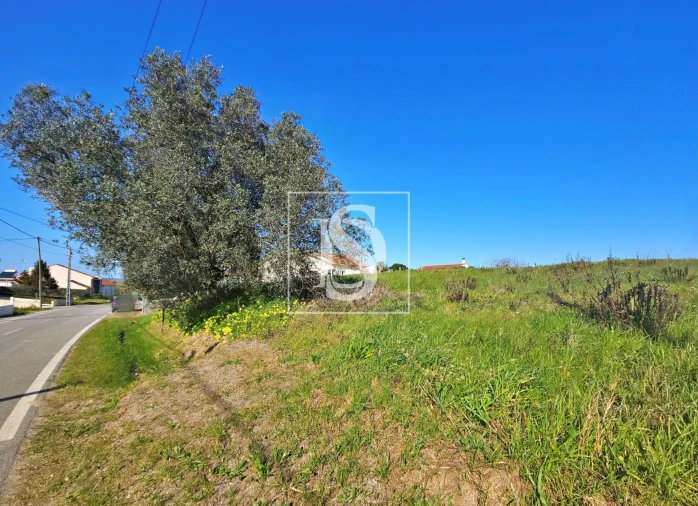 Terreno para Venda em Alqueidão Foto 17